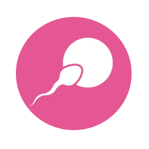 Preconception Counseling